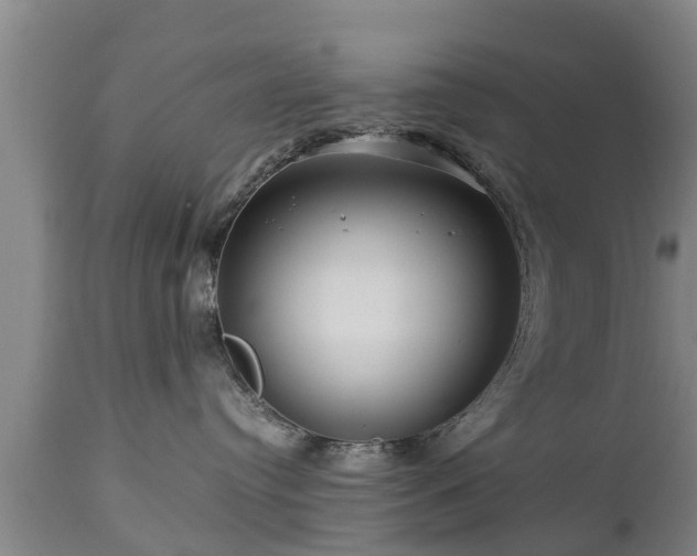 X0000112880384200908281643