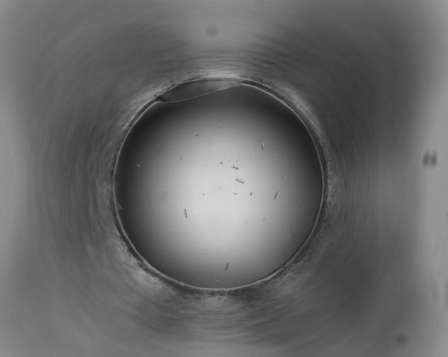 X0000112880385200908281642