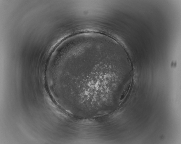 X0000112880386200908281642