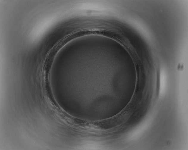 X0000112880387200908281642