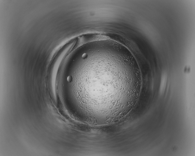 X0000112880388200908281642