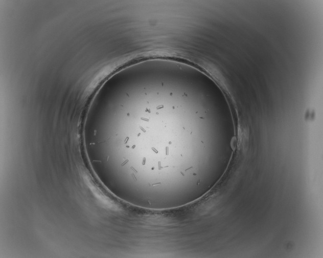 X0000112880389200908281642