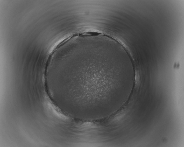 X0000112880390200908281642