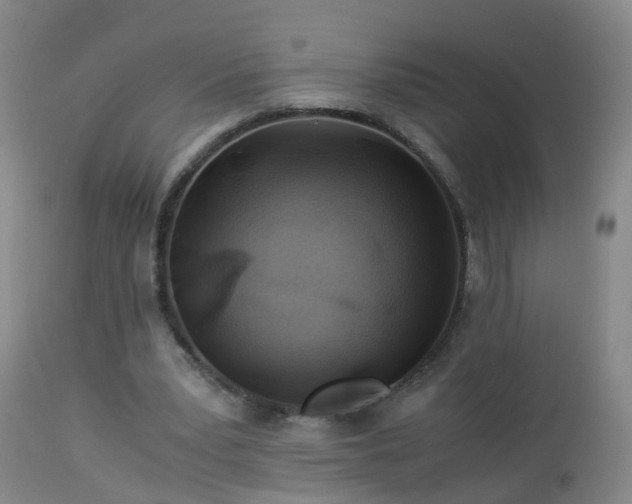 X0000112880391200908281642