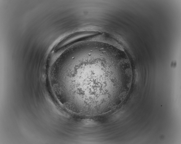 X0000112880392200908281642