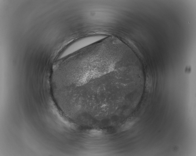 X0000112880394200908281642