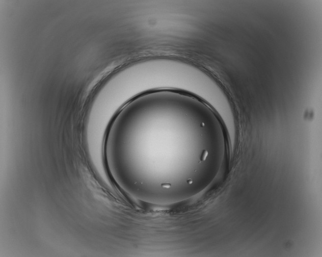 X0000112880395200908281642