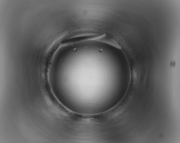 X0000112880396200908281642