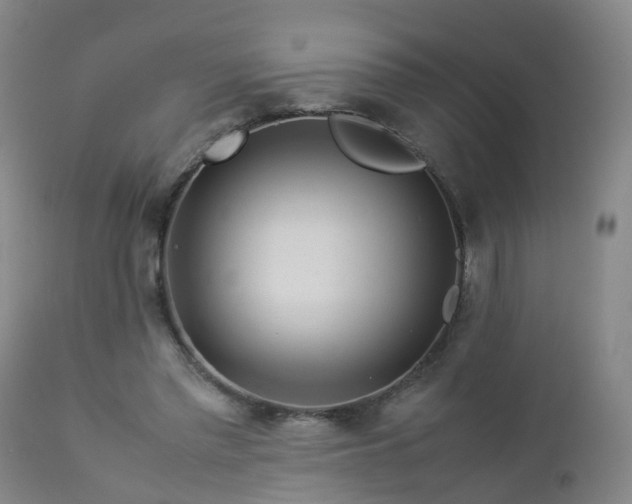 X0000112880397200908281642