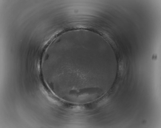 X0000112880398200908281642