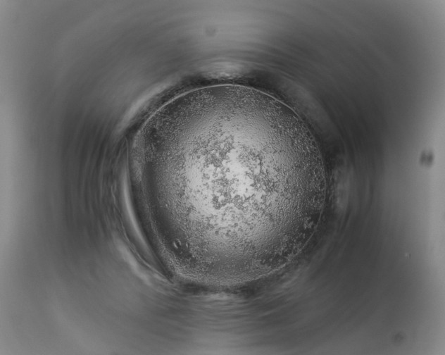 X0000112880400200908281642