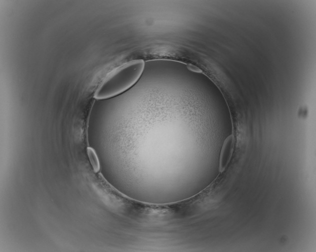 X0000112880401200908281642