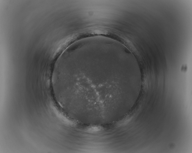 X0000112880402200908281642