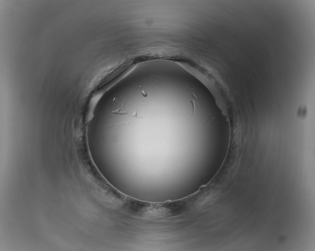 X0000112880403200908281642