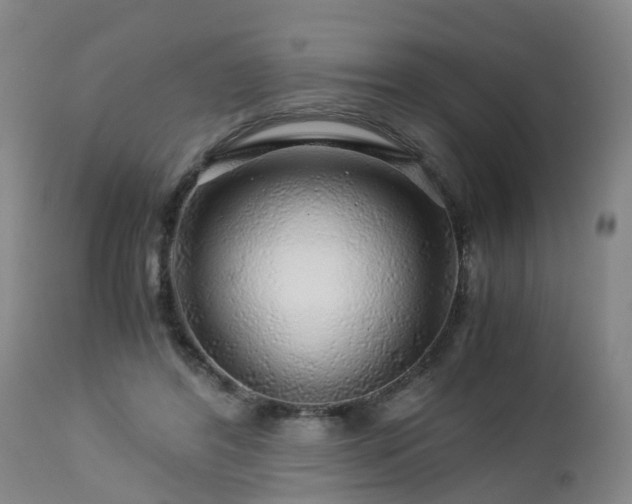 X0000112880404200908281642