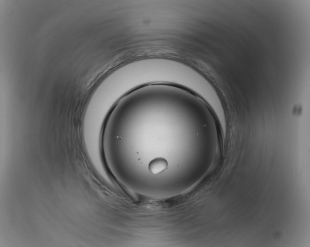 X0000112880405200908281642