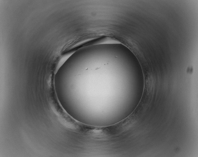 X0000112880406200908281642