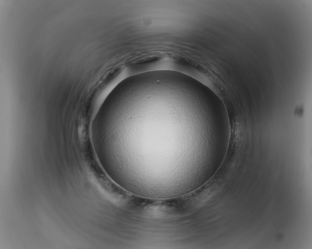 X0000112880408200908281642