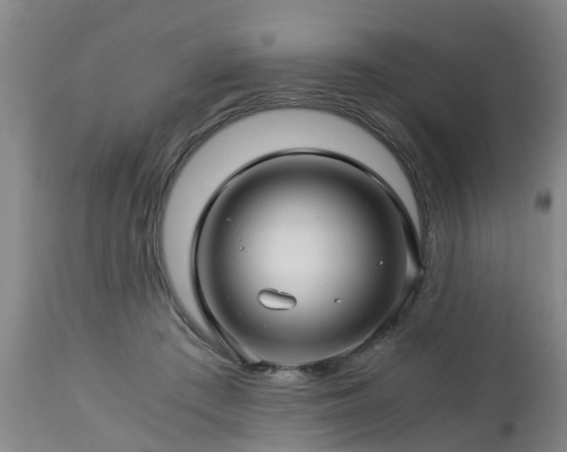 X0000112880409200908281642