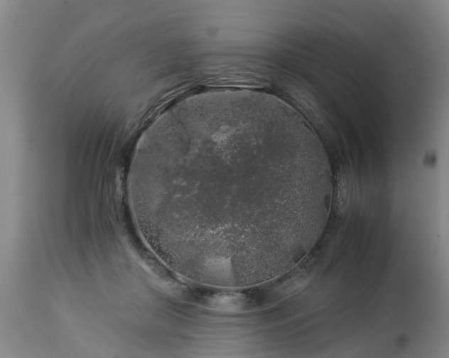 X0000112880410200908281642