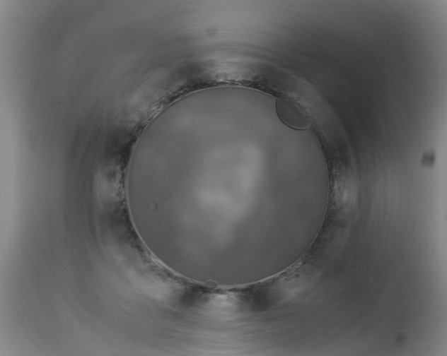 X0000112880411200908281642