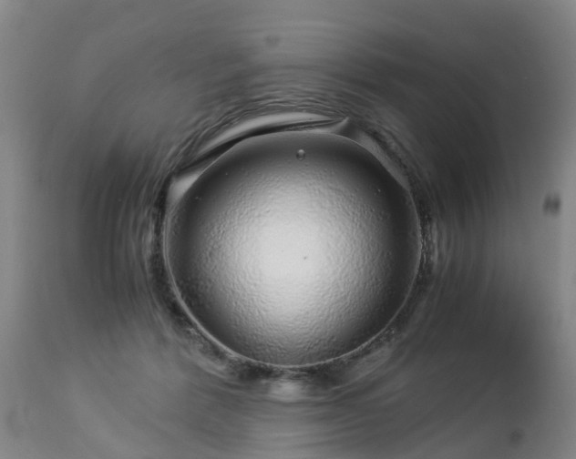 X0000112880412200908281642