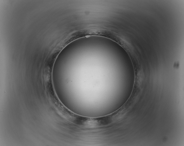 X0000112880413200908281642