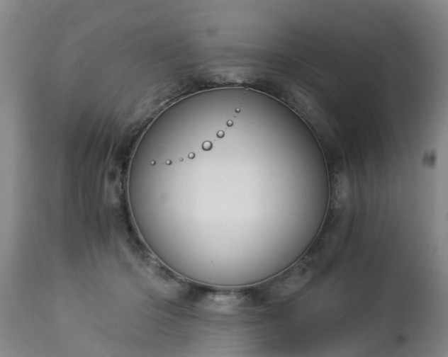 X0000112880414200908281642