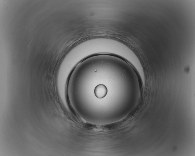 X0000112880415200908281642