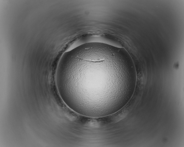 X0000112880416200908281642