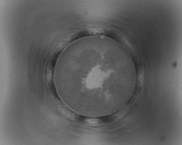 X0000112880417200908281642