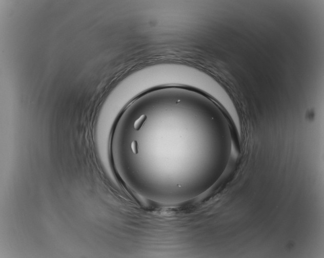 X0000112880419200908281642