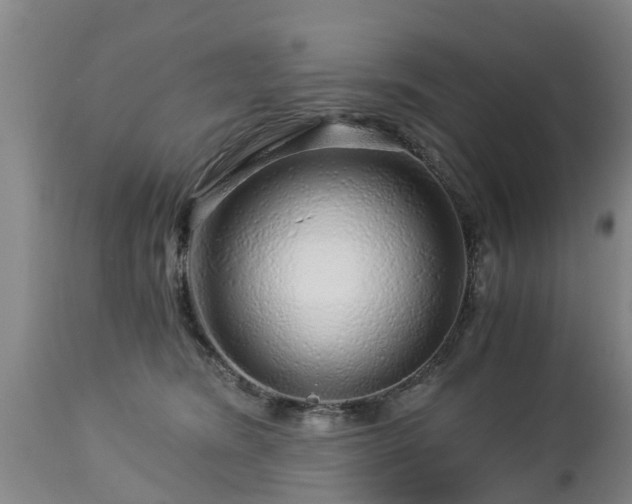 X0000112880420200908281642