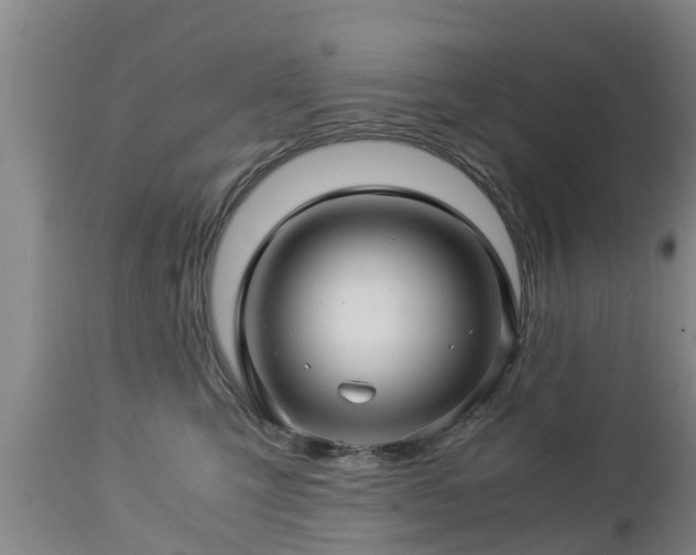 X0000112880423200908281642