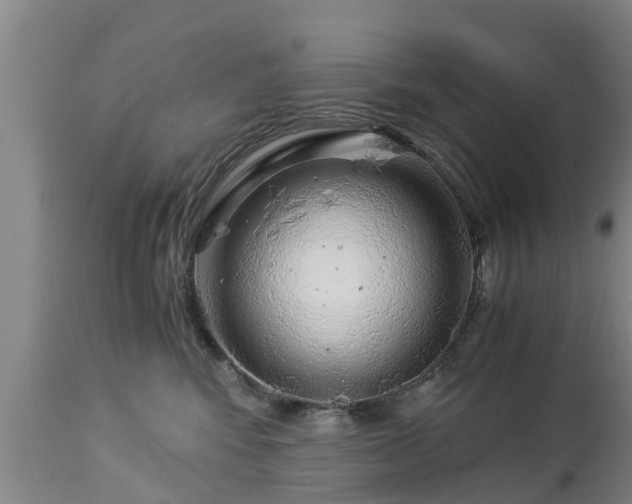 X0000112880424200908281642