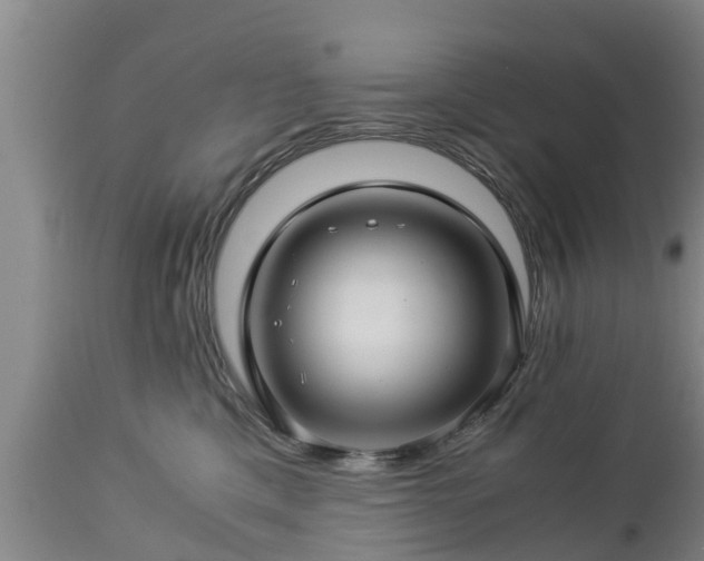 X0000112880425200908281642