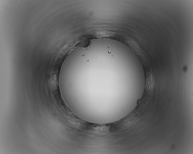 X0000112880426200908281641