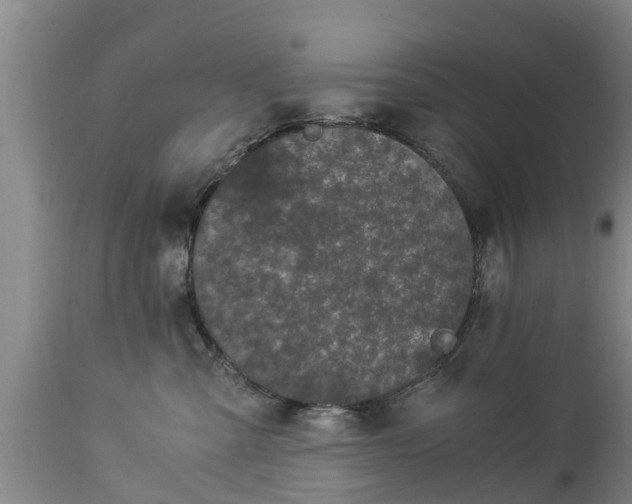 X0000112880427200908281641