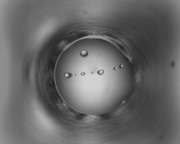 X0000112880429200908281641