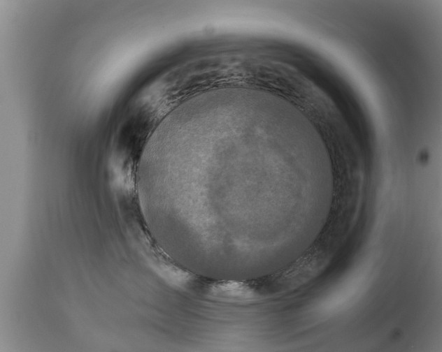 X0000112880431200908281641