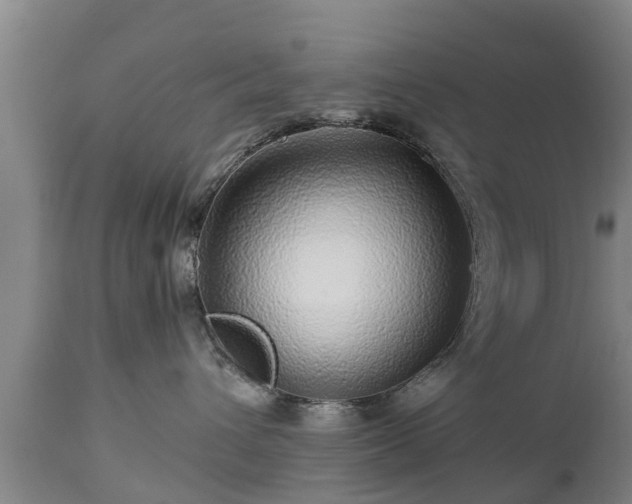 X0000112880432200908281641