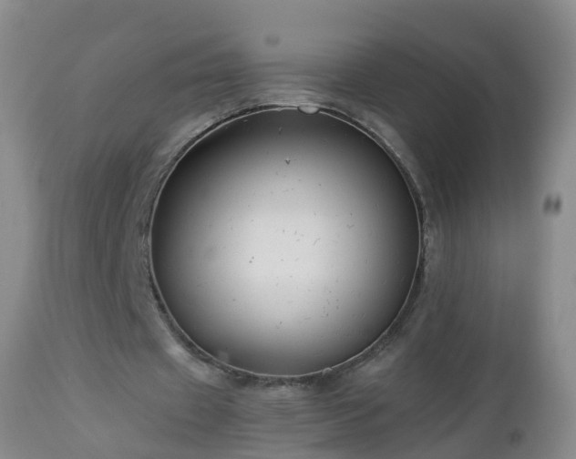 X0000112880433200908281641