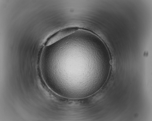 X0000112880434200908281641