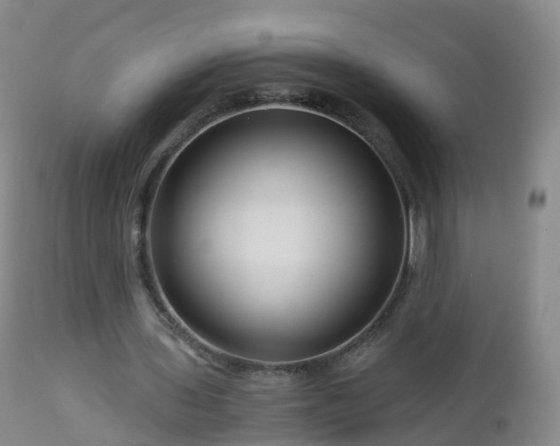 X0000112880435200908281641