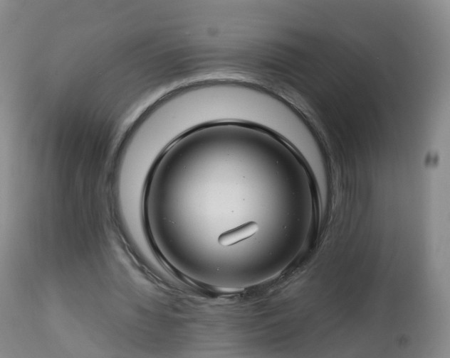 X0000112880436200908281641