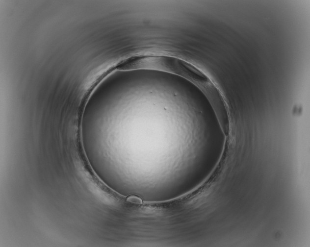 X0000112880437200908281641