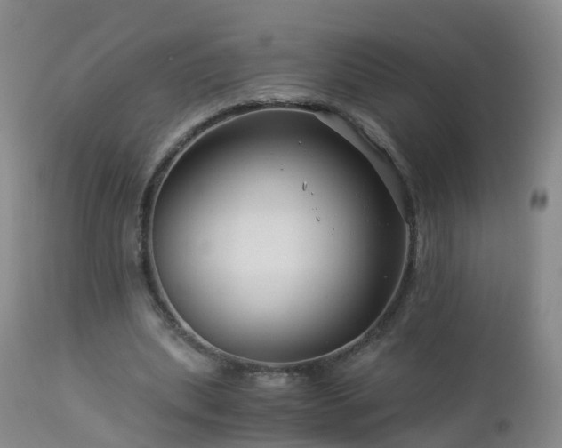 X0000112880439200908281641