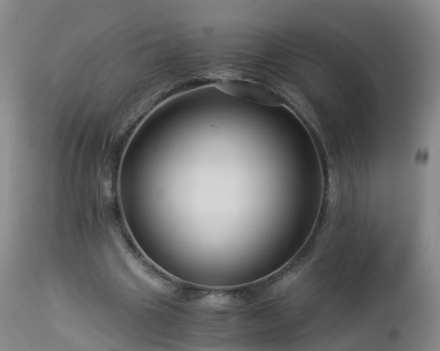 X0000112880441200908281641