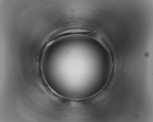 X0000112880442200908281641