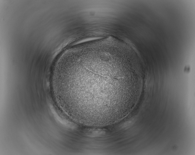 X0000112880443200908281641